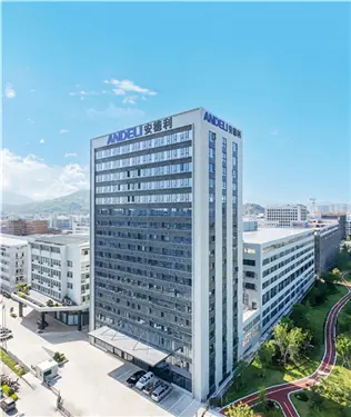 About Andeli Group (2)