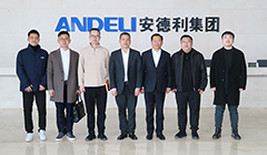 Zheng Jibin, Vice Mayor of Yueqing City, Visits Andeli Group for Inspection and Guidance